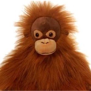 Meet your Posher, Jovan